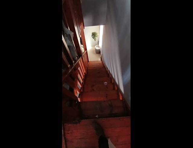 3 BEDROOM FREESTANDING FOR SALE IN MODEL PARK
